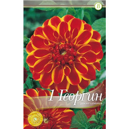 Джескот Линголд