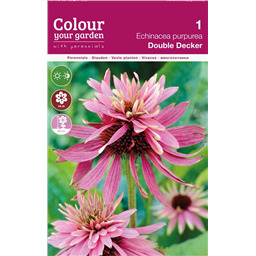 Эхинацея Дабл Декер