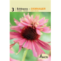 Эхинацея Дабл Декер