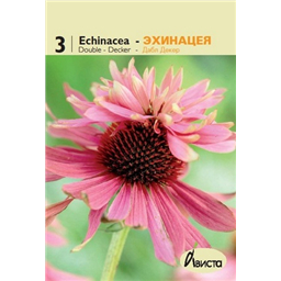 Эхинацея Дабл Декер