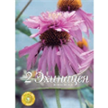 Эхинацея Дабл Деккер