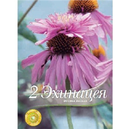 Эхинацея Дабл Деккер