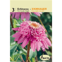 Эхинацея Пинк Дабл Делайт