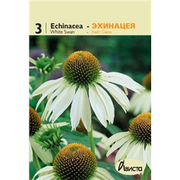 Эхинацея Уайт Свон