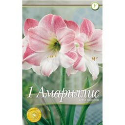 Эппл Блоссом