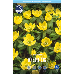 Эрантис Хиемелис