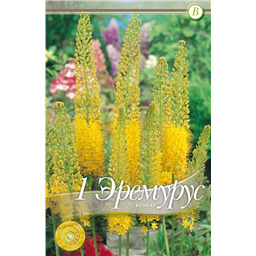 Эремурус Бунгея