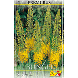 Эремурус Бунги