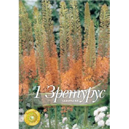 Эремурус Клеопатра