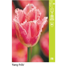 Фанси Фрилс