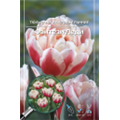 Тюльпан Махровый Ранний Фэнтези Леди