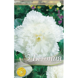 Фибриата Уайт