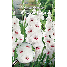 Фиорентина