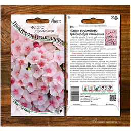 Флокс друммонди  Грандифлора Изабеллина              