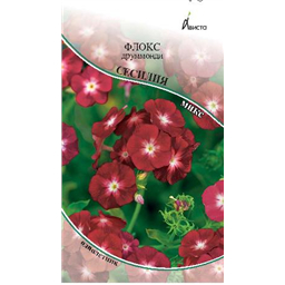 Флокс друммонди Сесилия смесь