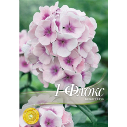 Флокс Бриджет ес