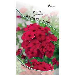 Флокс друммонди Бьюти Кримсон