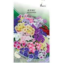 Флокс друммонди Бьюти микс