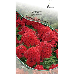 Флокс друммонди Бьюти Скарлет
