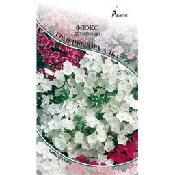 Флокс друммонди Грандифлора Алба
