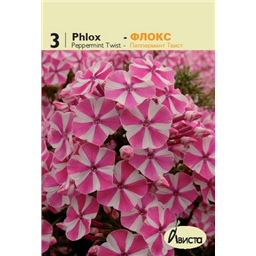 Флокс Пеперминт Твист