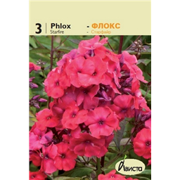 Флокс Старфайер
