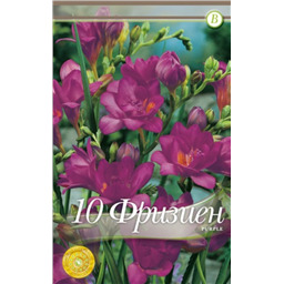 Фрезия махровая Парпл