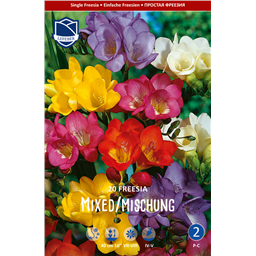 Фрезия Сингл