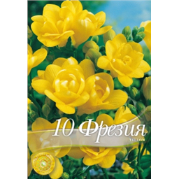 Фрезия Дабл Йеллоу