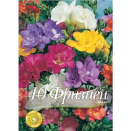 Фрезия Дабл микс