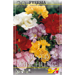 Фрезия махровая смесь