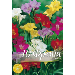 Фрезия Сингл микс