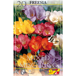Фрезия смесь