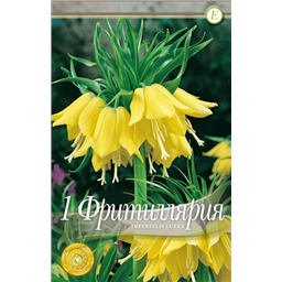 Фритилярия Империалис Лютеа