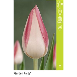 Гарден Пати