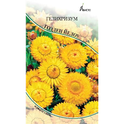 Гелихризум Голден Йелоу