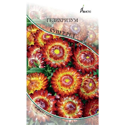 Гелихризум Купер Ред