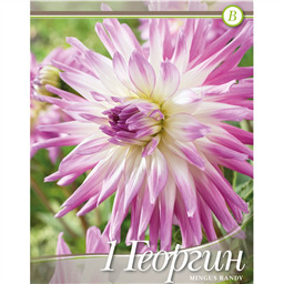 Георгина Мингус Рэнди