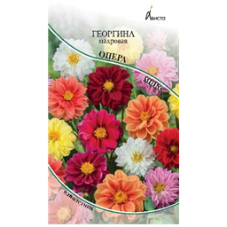 Георгина Опера смесь