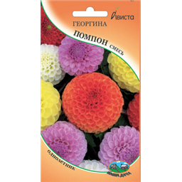 Георгина Помпон смесь