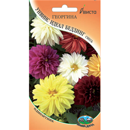 Георгина Унвинс смесь