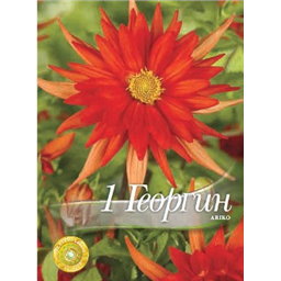 Георгина Арико