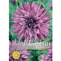 Георгина Блэкберри Риппл