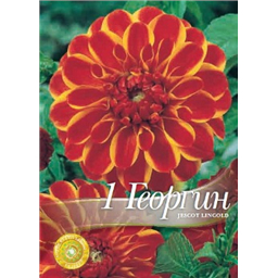 Георгина Джексот Линголд