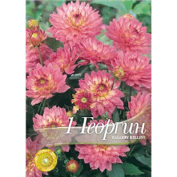 Георгина Галери Беллини