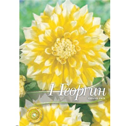 Георгина Галери Прикс