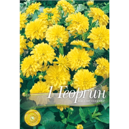 Георгина Галери Сезан