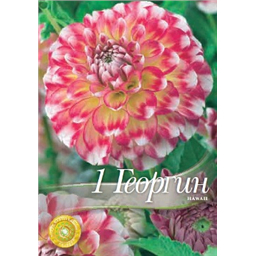 Георгина Гаваи