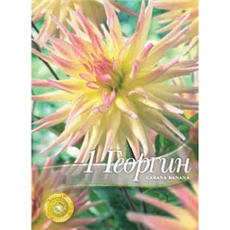 Георгина Кабана Банана