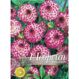 Георгина Литтл Роберт